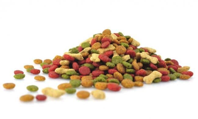 perro pienso completo y balanceado