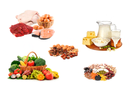 Evitar alimentos ricos en fósforo en el perro enfermo del riñón