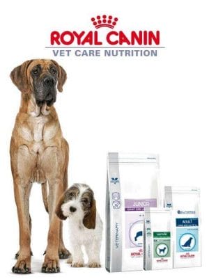 perro alimento royal canin distintas razas