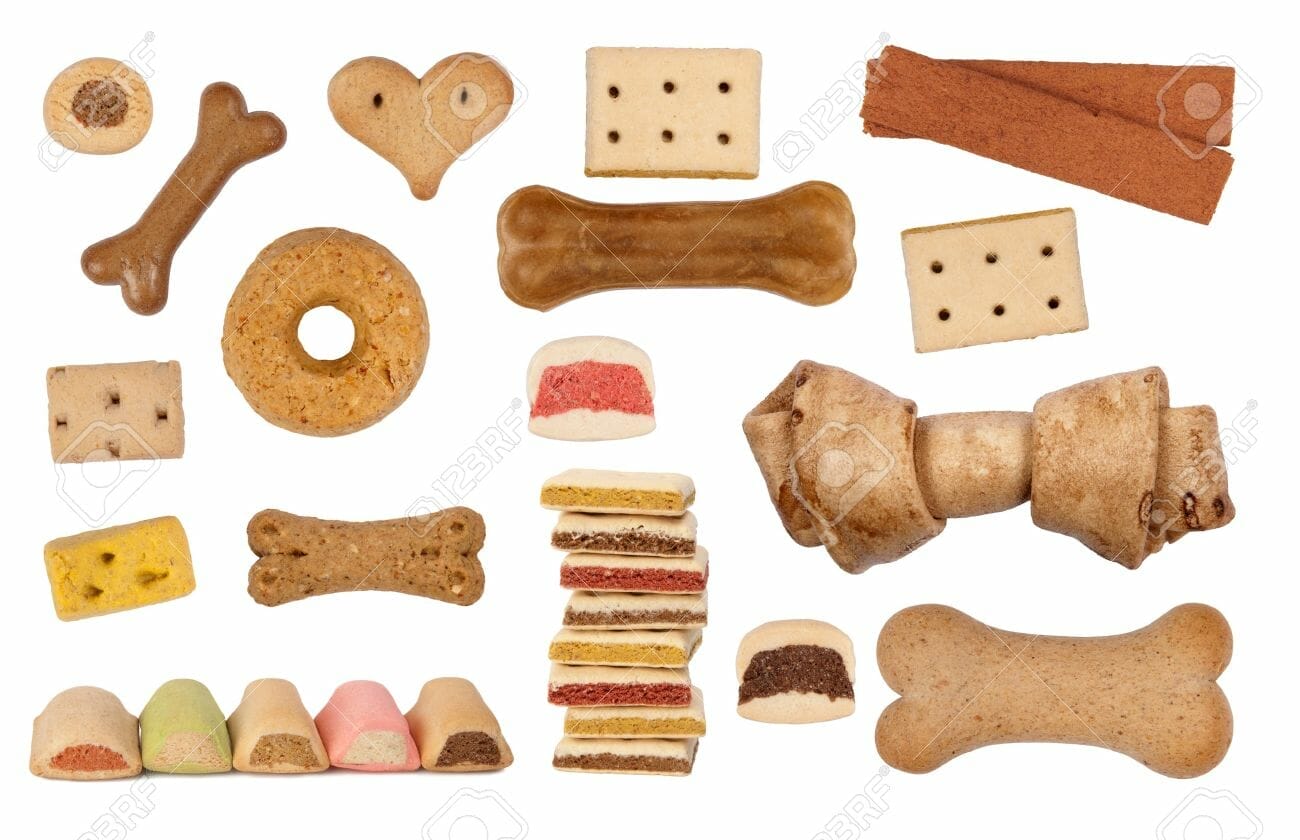 preparar, hacer o premios (galletas, galletitas, treats, snacks) para tu perro o cachorro