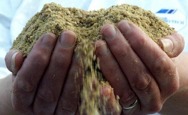 perro fabricación pienso