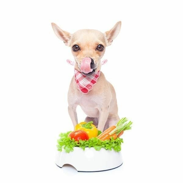perro frutas y verduras