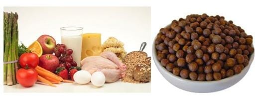 Sinceramente, ¿Crees que tienen la misma calidad los alimentos naturales que las bolitas?