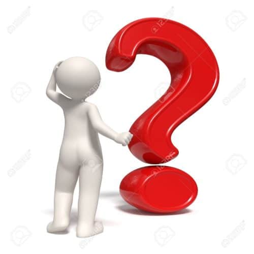 perro interrogante 2