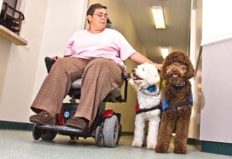 perro ayuda persona movilidad reducida