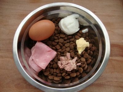perro proteina y alimento comercial