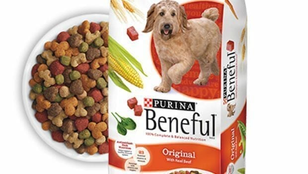 purina-beneful