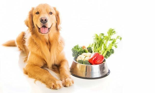 A beautiful golden retriever dog with a smile on his face laying next to a bowl of fresh vegetables.
