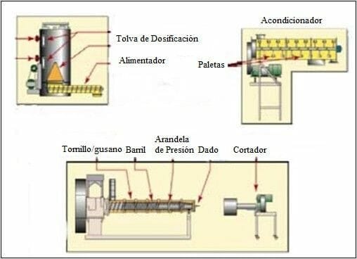 perro extrusión pienso
