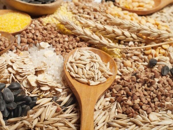 Los cereales en la dieta del perro