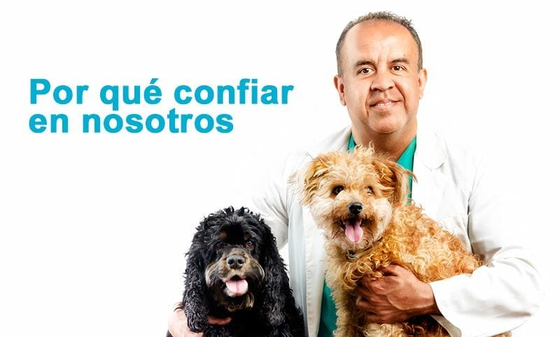 poque poque