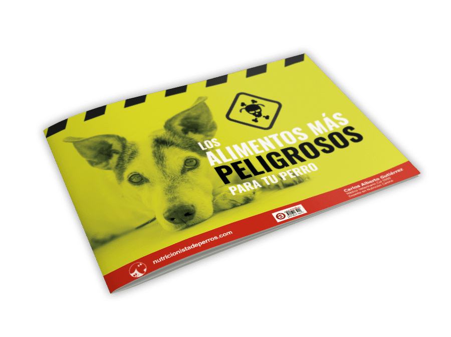 Mockup_HorizontalA5_Brochure_1 Mockup_HorizontalA5_Brochure_1