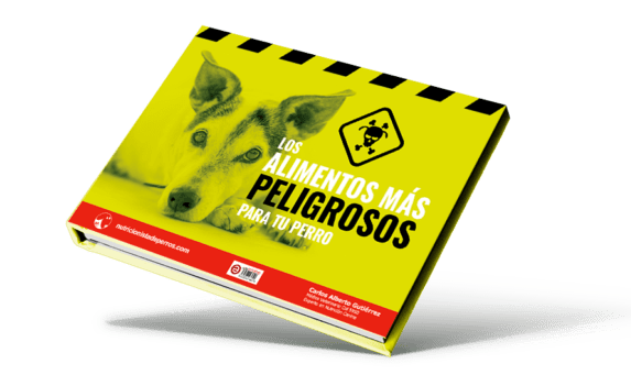 portada-alimentos-peligrosos