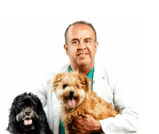 Carlos-veterinario-experto